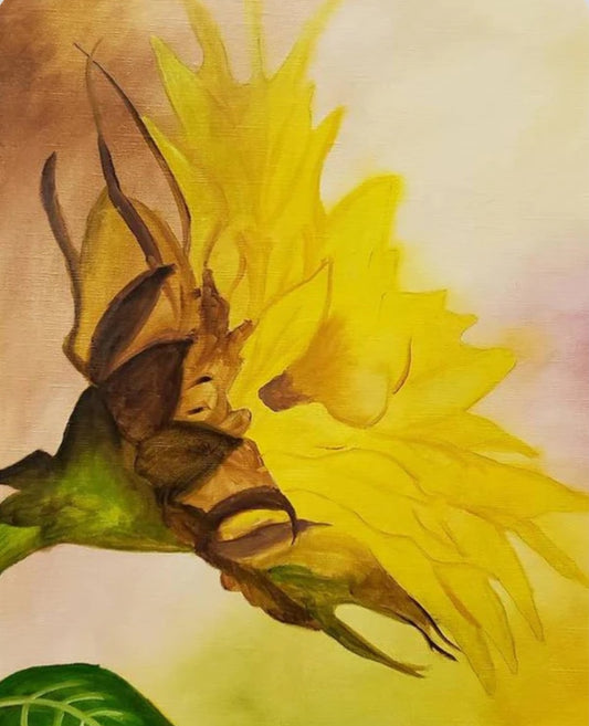 Nature Is Art: A Simple Connection