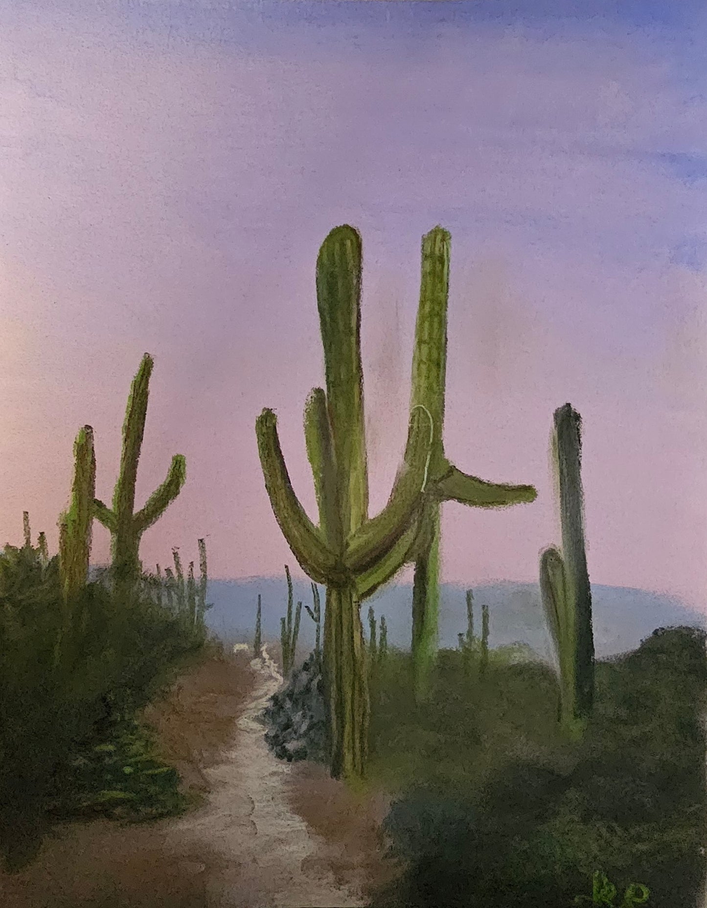 Saguaro National Park