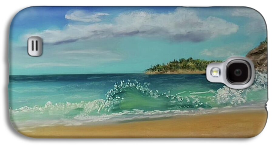 Acadia National Park - Phone Case