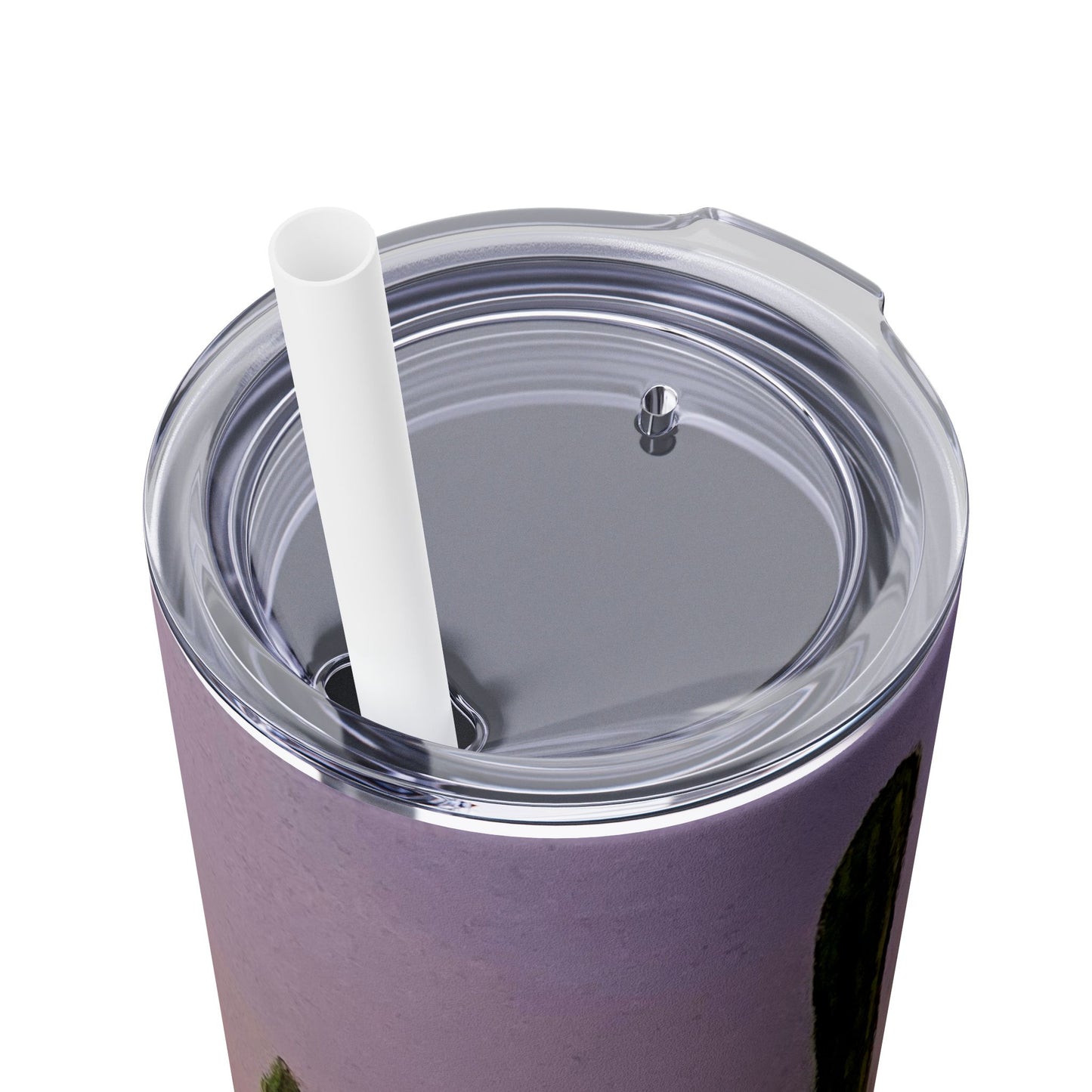 Saguaro Skinny Tumbler with Straw, 20oz