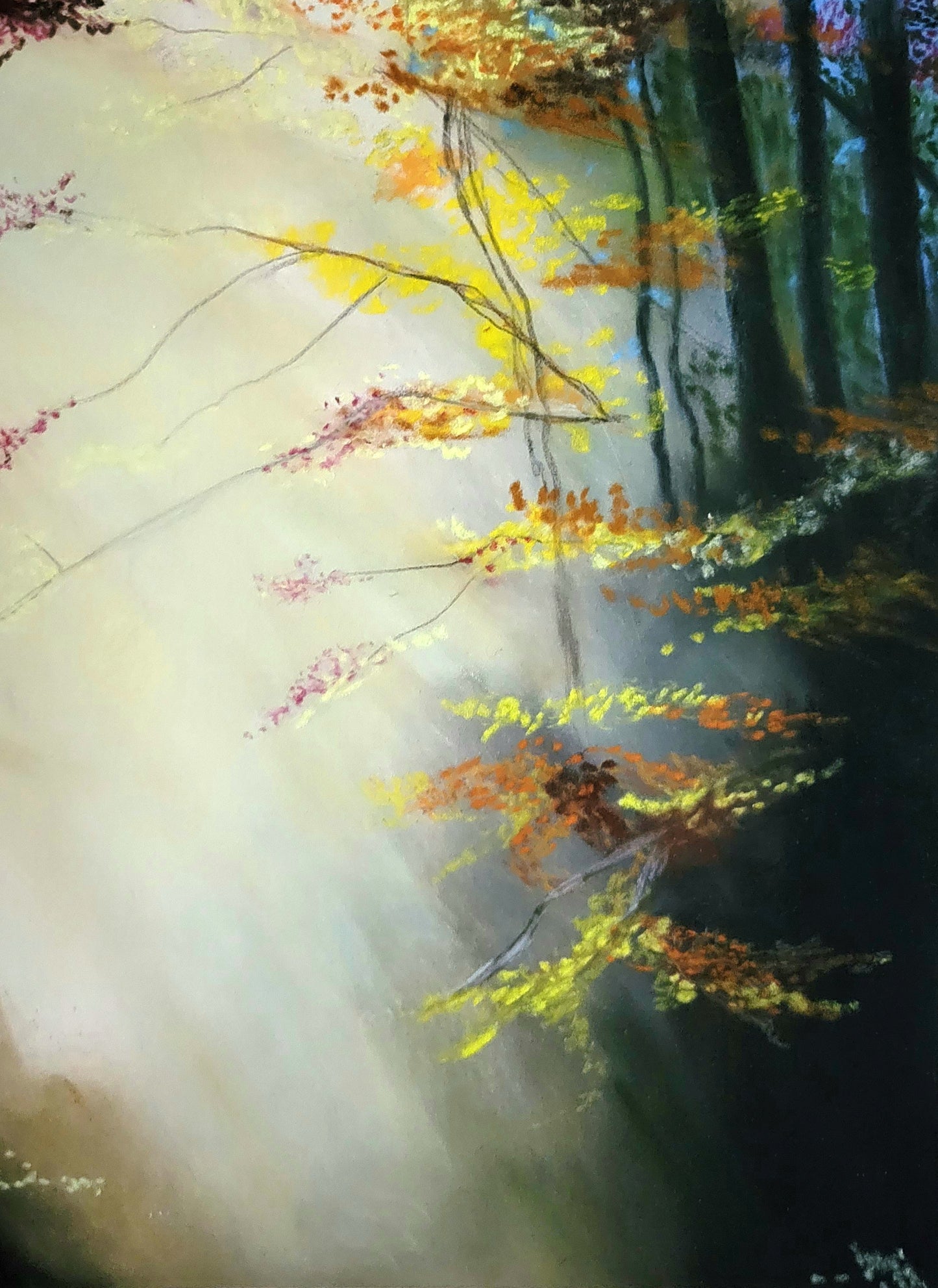 Autumn Light Original Pastel Painting. 11x14 inch