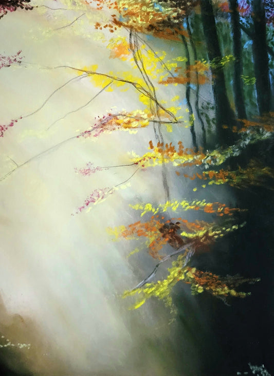 Autumn Light Original Pastel Painting. 11x14 inch