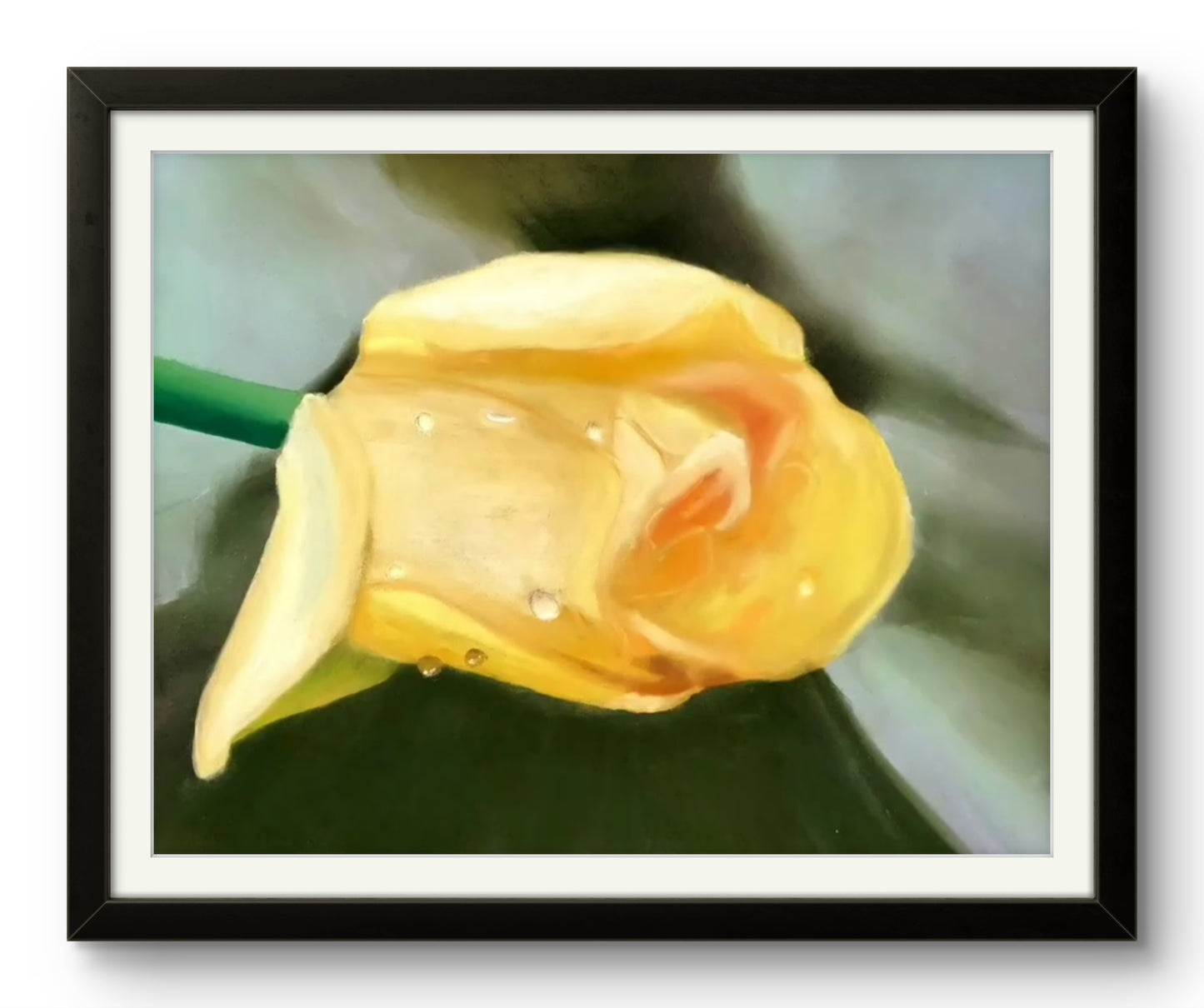 Yellow Rose In The Morning