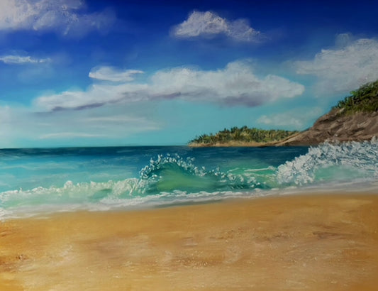 Acadia National Park Coastline (giclee print)