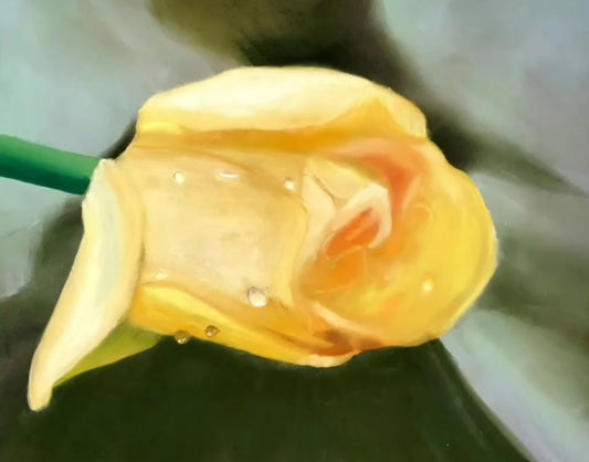 Yellow Rose In The Morning