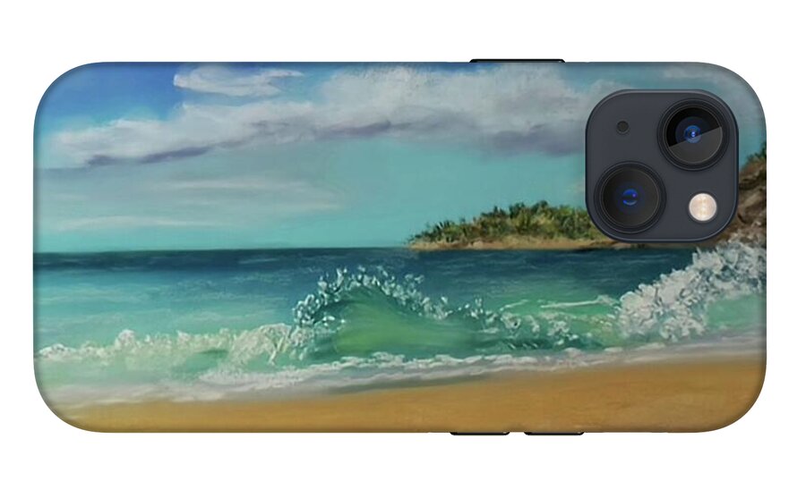 Acadia National Park  - Phone Case