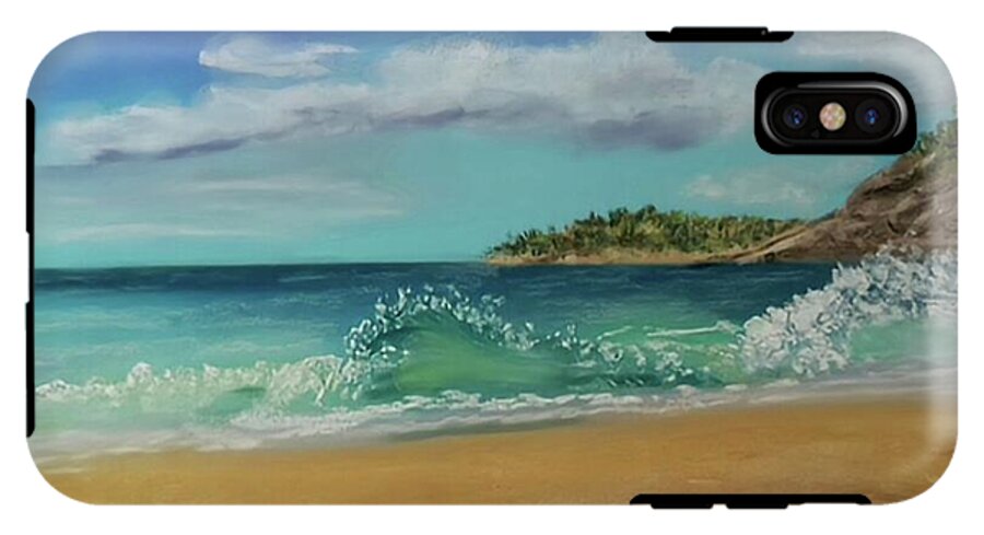 Acadia National Park  - Phone Case