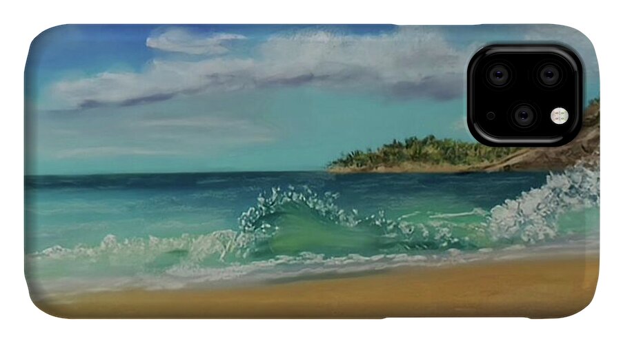 Acadia National Park  - Phone Case