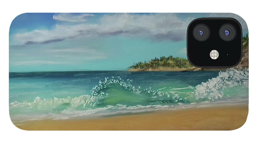 Acadia National Park  - Phone Case