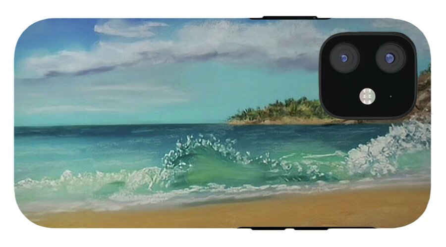 Acadia National Park  - Phone Case