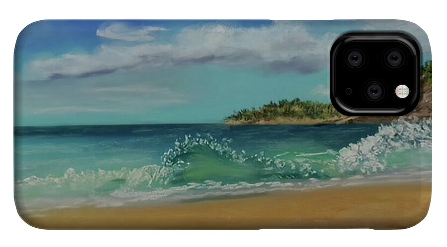 Acadia National Park  - Phone Case