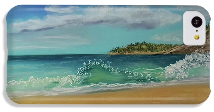 Acadia National Park  - Phone Case