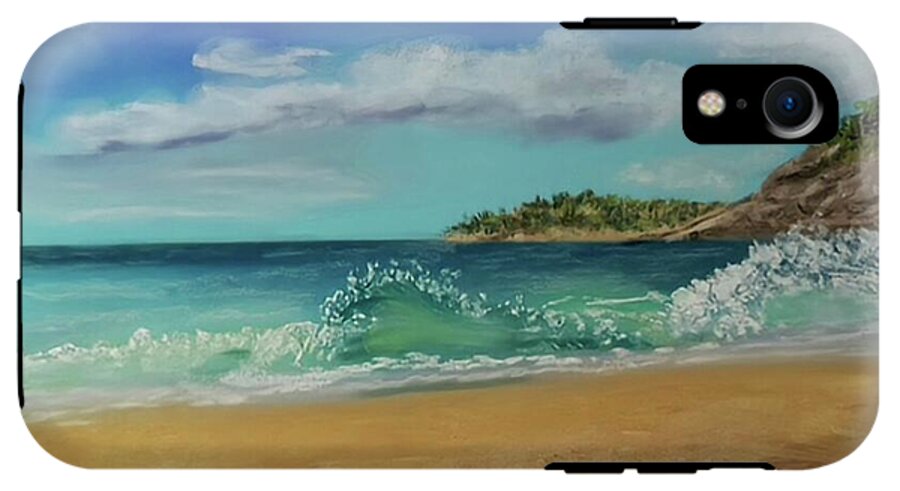 Acadia National Park  - Phone Case