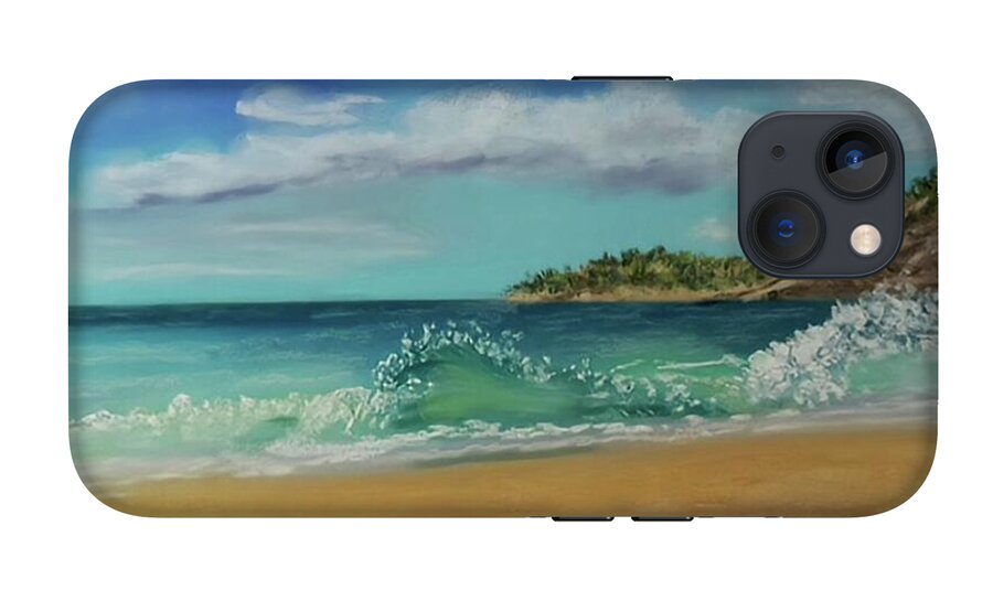 Acadia National Park  - Phone Case