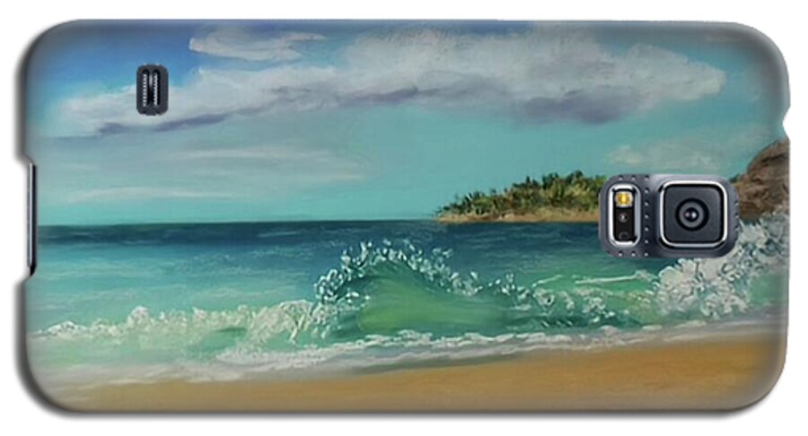 Acadia National Park  - Phone Case