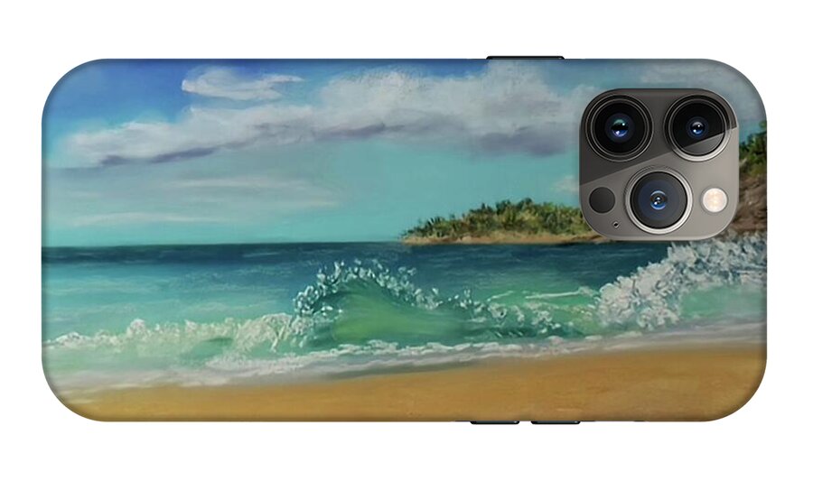 Acadia National Park  - Phone Case