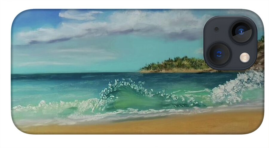 Acadia National Park  - Phone Case