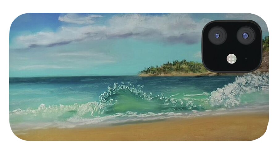 Acadia National Park  - Phone Case