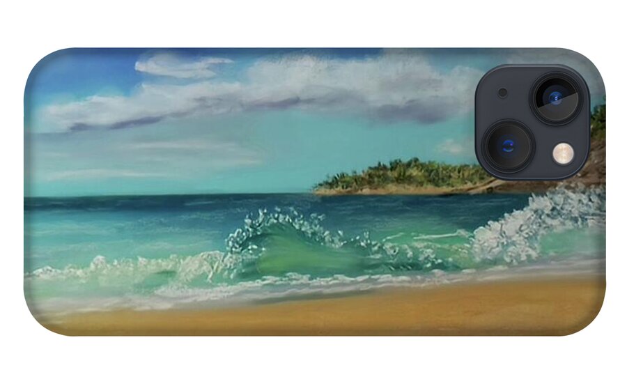 Acadia National Park  - Phone Case