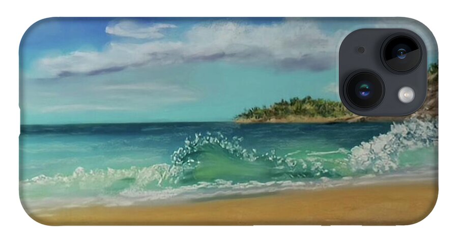 Acadia National Park  - Phone Case