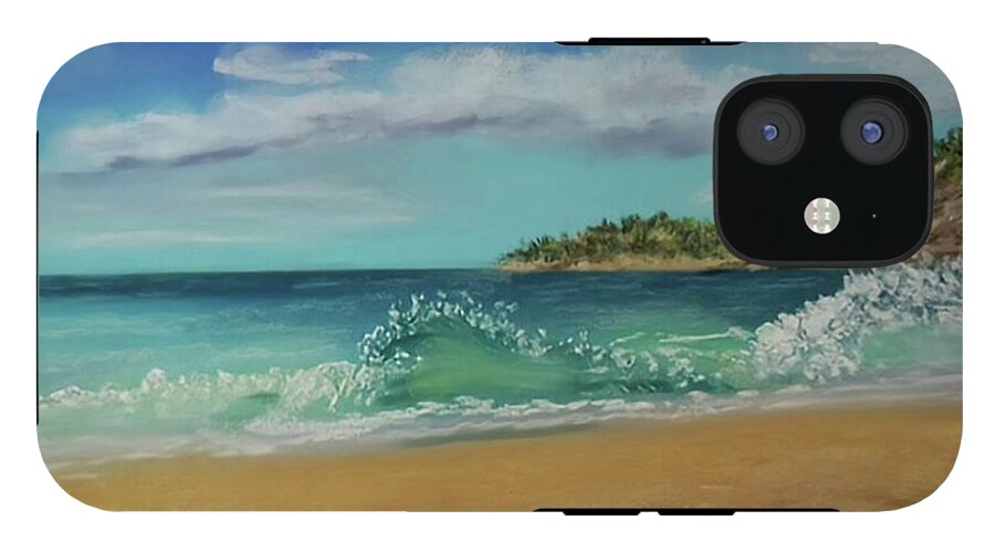 Acadia National Park  - Phone Case