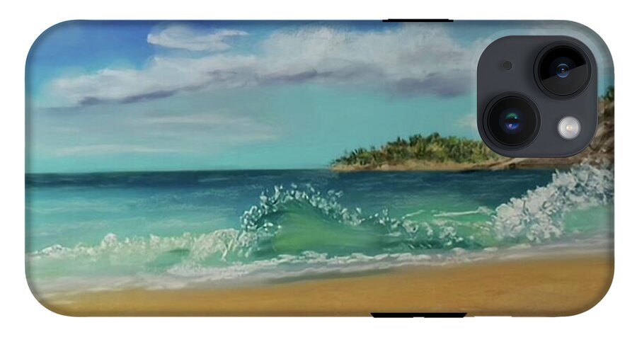 Acadia National Park  - Phone Case