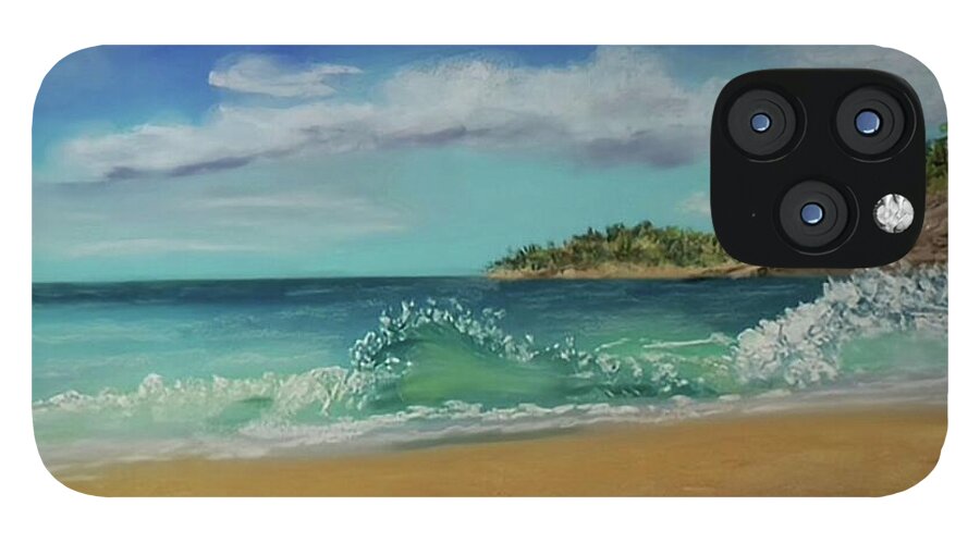 Acadia National Park  - Phone Case