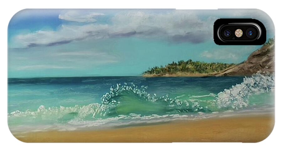 Acadia National Park  - Phone Case