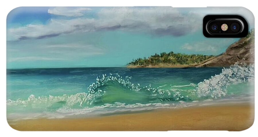 Acadia National Park  - Phone Case