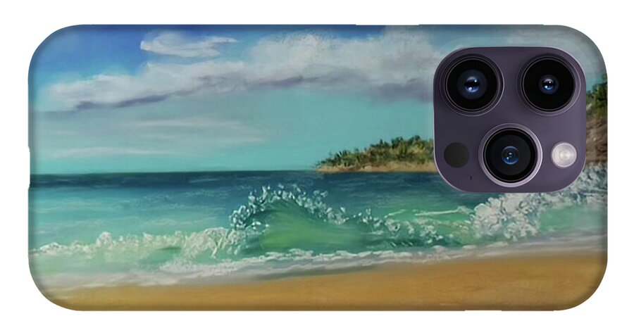 Acadia National Park  - Phone Case