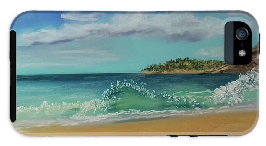 Acadia National Park  - Phone Case