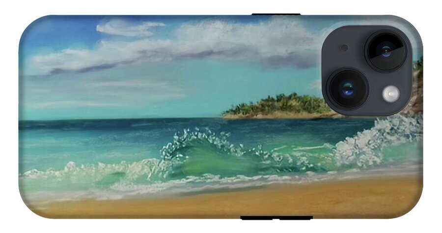 Acadia National Park  - Phone Case