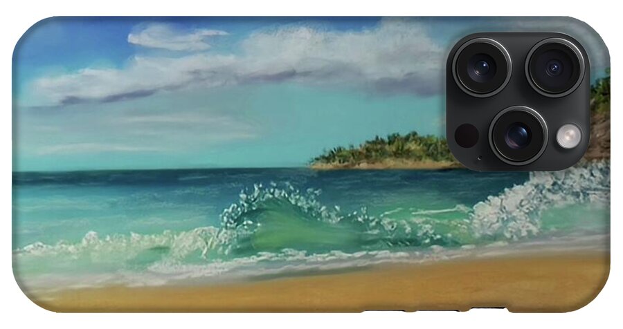 Acadia National Park  - Phone Case