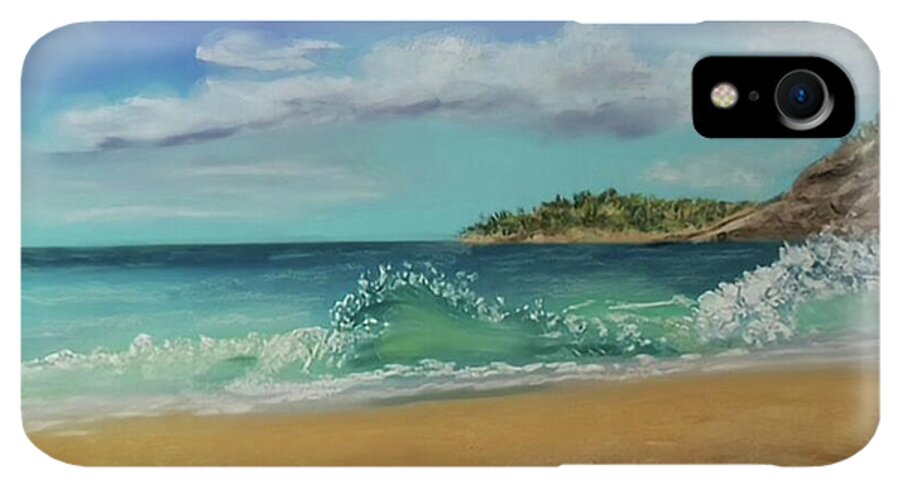 Acadia National Park  - Phone Case