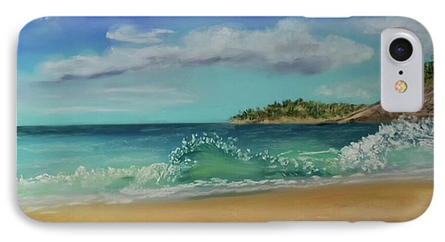 Acadia National Park  - Phone Case