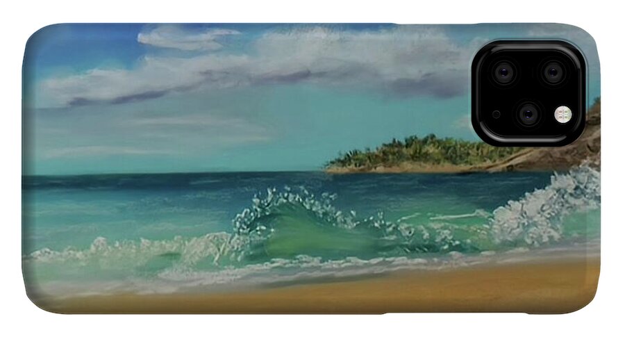 Acadia National Park  - Phone Case