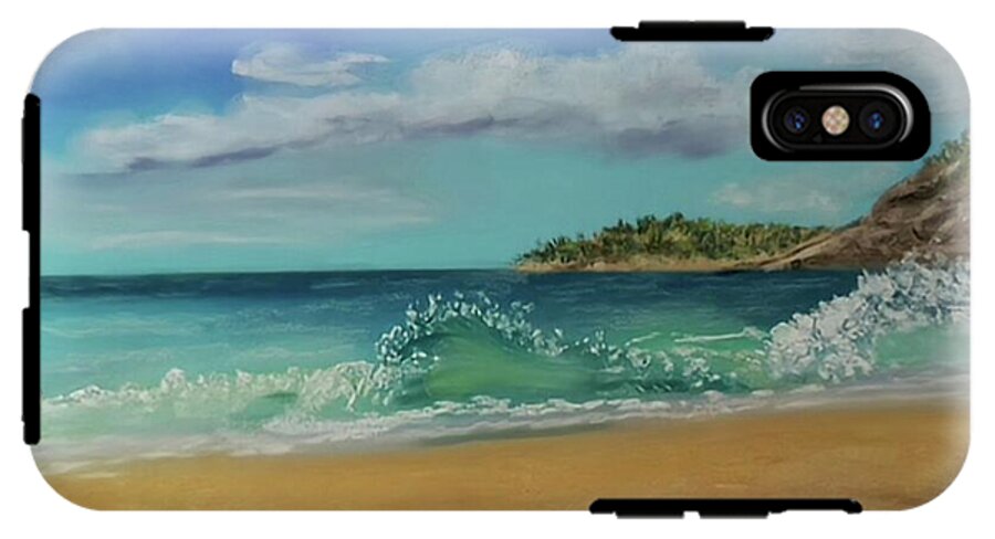 Acadia National Park  - Phone Case