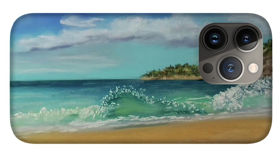 Acadia National Park  - Phone Case