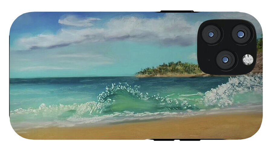 Acadia National Park  - Phone Case