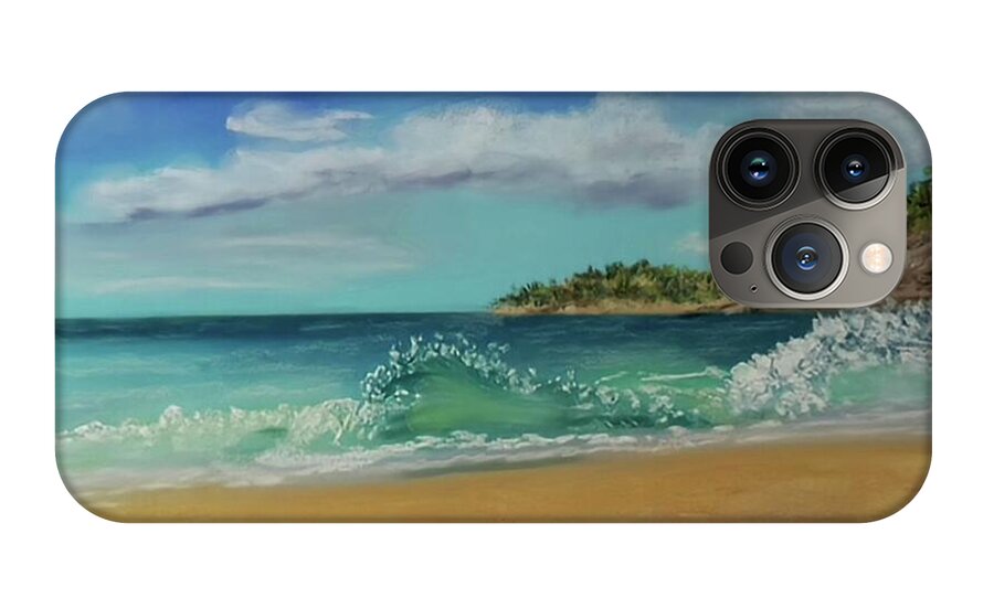 Acadia National Park  - Phone Case