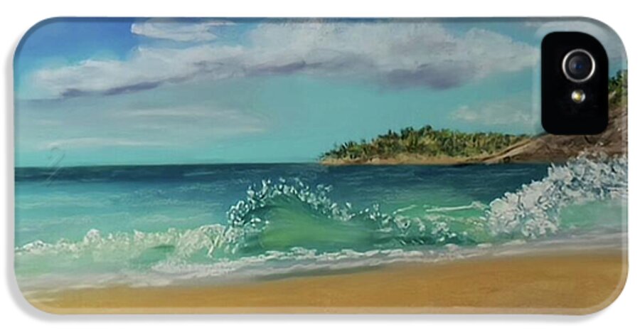 Acadia National Park  - Phone Case