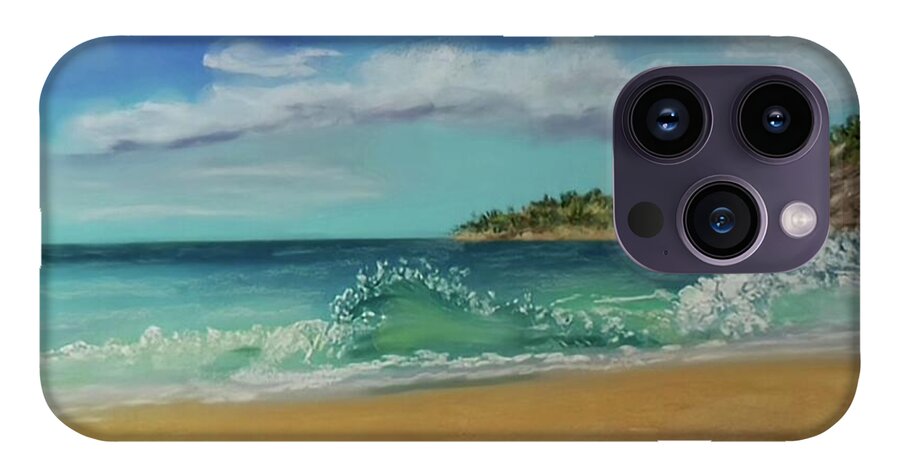 Acadia National Park  - Phone Case