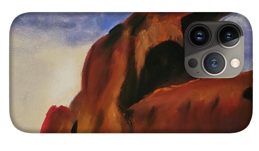 Arches National Park  - Phone Case