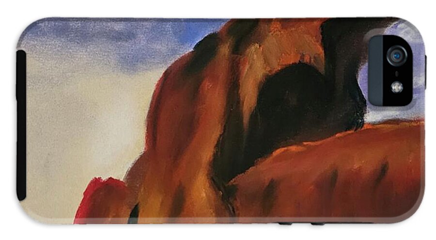Arches National Park  - Phone Case