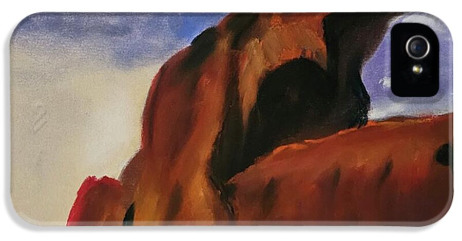 Arches National Park  - Phone Case