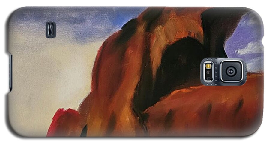 Arches National Park  - Phone Case