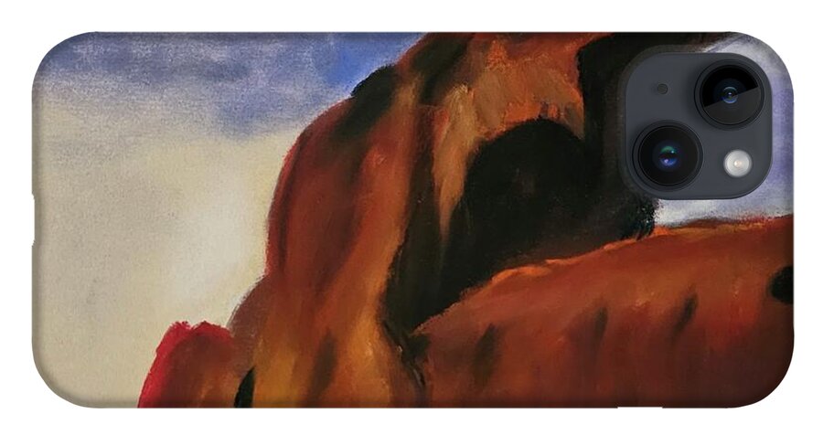 Arches National Park  - Phone Case