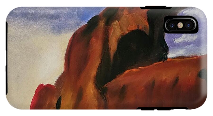 Arches National Park  - Phone Case