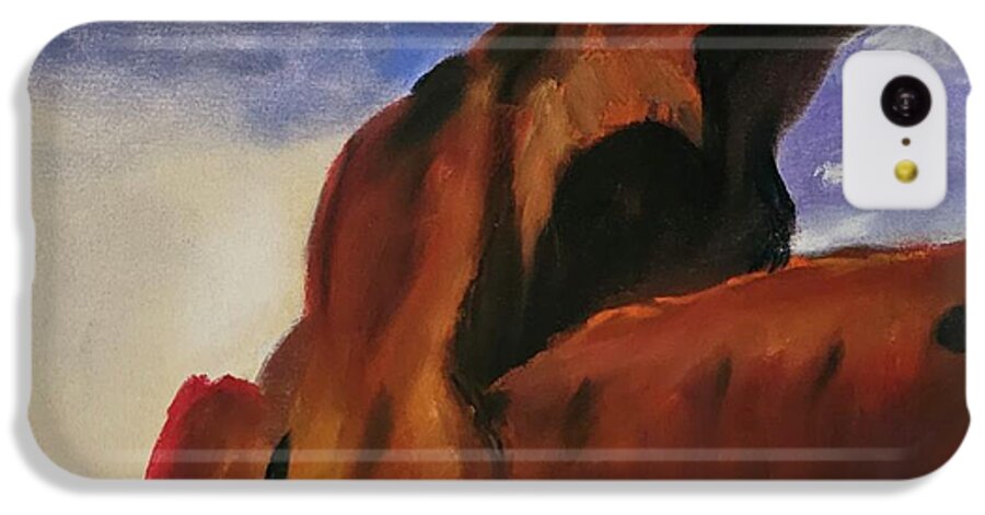 Arches National Park  - Phone Case