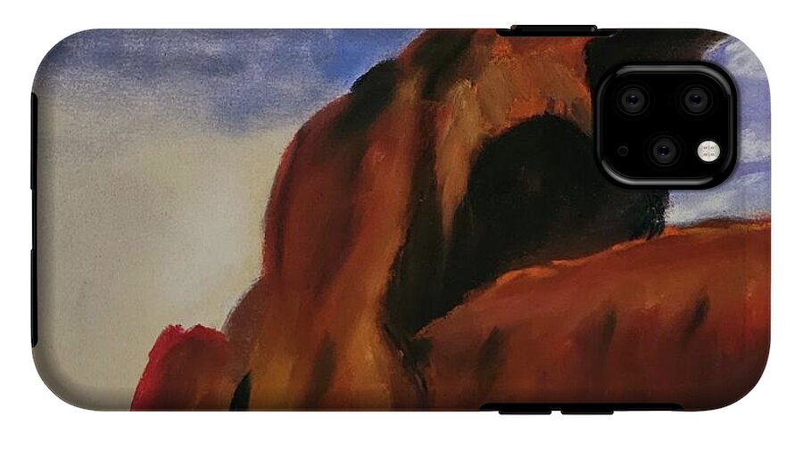 Arches National Park  - Phone Case
